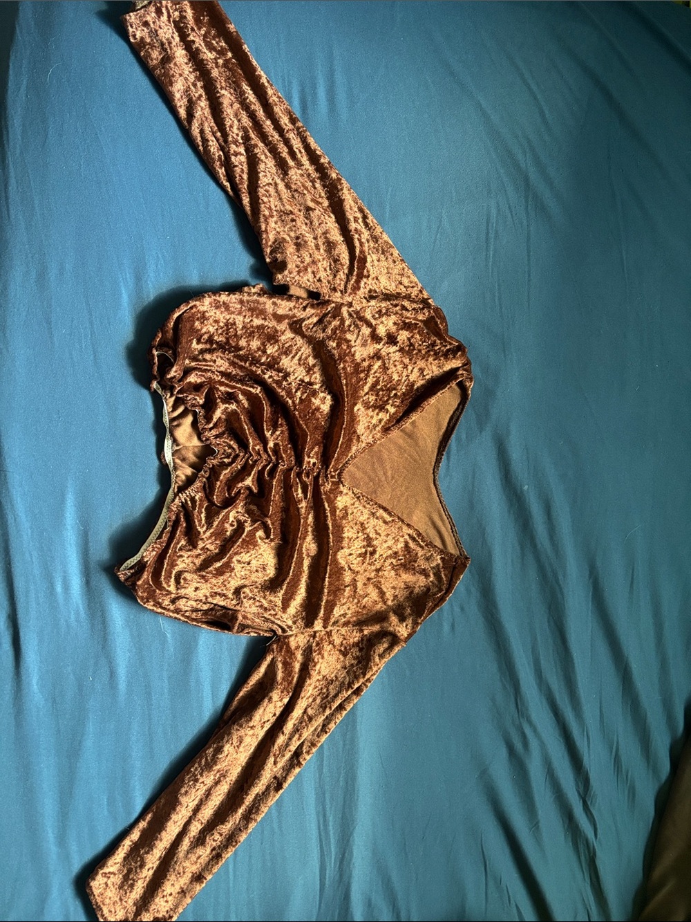Women's Brown Velvet Long-Sleeve Cropped Top